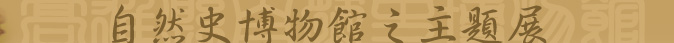 t-import-07.jpg (13691 bytes)